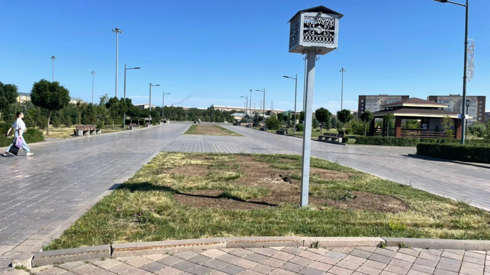 Ашық бас пен жабық бастың арасындағы еркек пенисінің айырмашылығы